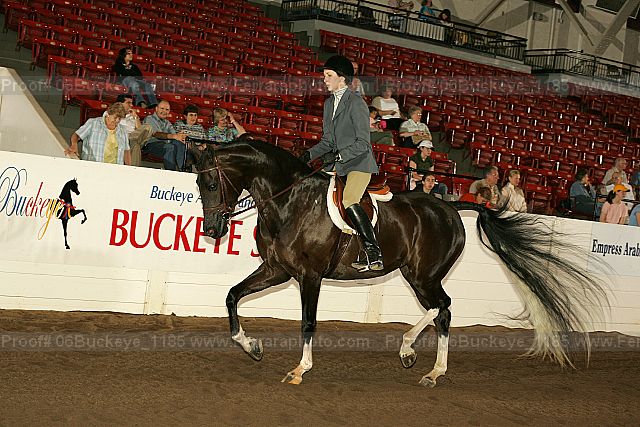 Proof 06buckeye_1185
