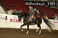 06buckeye_1185 proof