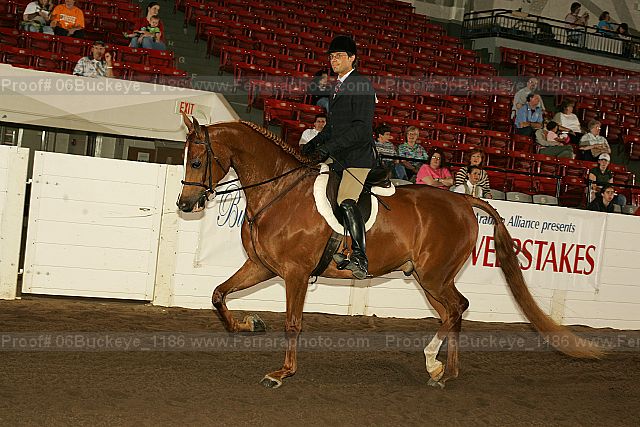 Proof 06buckeye_1186