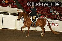 06buckeye_1186 proof