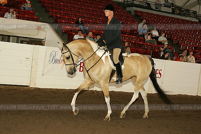 Proof 06buckeye_1187