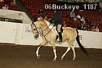 06buckeye_1187 proof