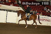 06buckeye_1188 proof