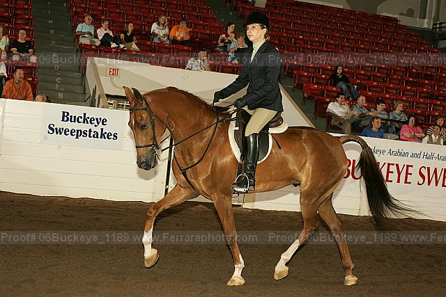 Proof 06buckeye_1189