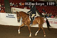 06buckeye_1189 proof