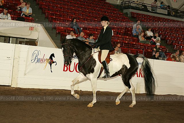Proof 06buckeye_1190