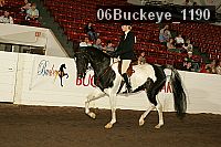 06buckeye_1190 proof