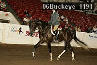06buckeye_1191 proof