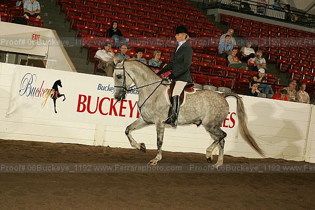 Proof 06buckeye_1192