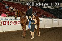 06buckeye_1193 proof