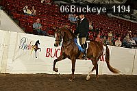 06buckeye_1194 proof