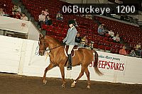06buckeye_1200 proof