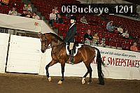 06buckeye_1201 proof