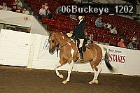 06buckeye_1202 proof