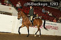 06buckeye_1203 proof