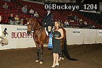 06buckeye_1204 proof