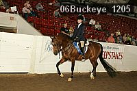 06buckeye_1205 proof