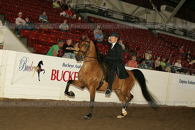 Proof 06buckeye_1207