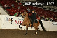 06buckeye_1207 proof