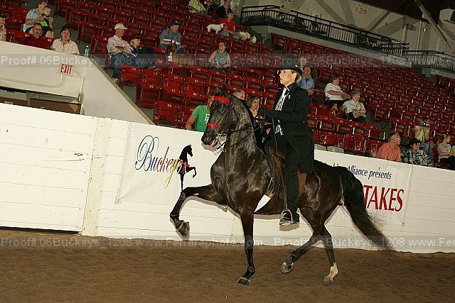 Proof 06buckeye_1208
