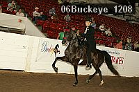 06buckeye_1208 proof