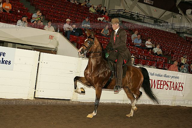 Proof 06buckeye_1209