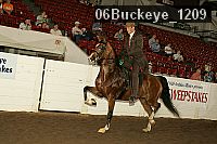 06buckeye_1209 proof
