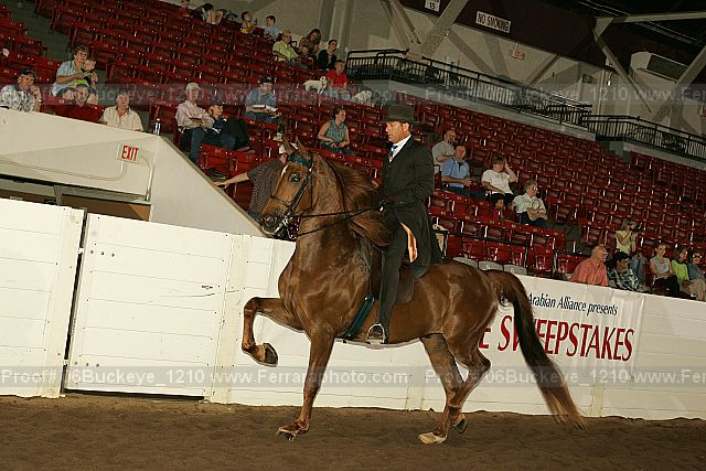 Proof 06buckeye_1210