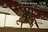 06buckeye_1210 proof
