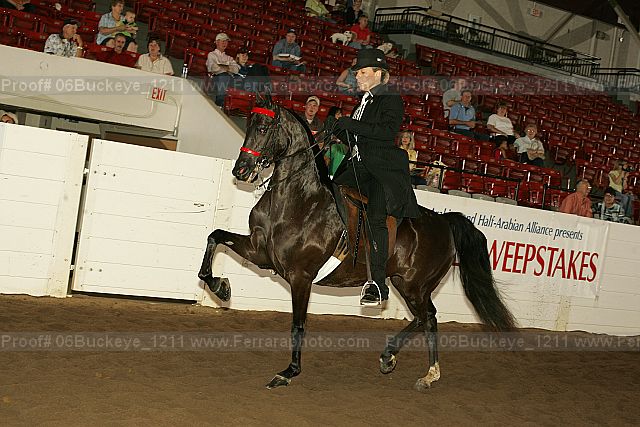 Proof 06buckeye_1211