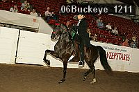 06buckeye_1211 proof