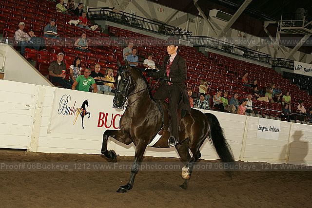 Proof 06buckeye_1212