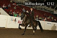 06buckeye_1212 proof