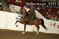 06buckeye_1213 proof