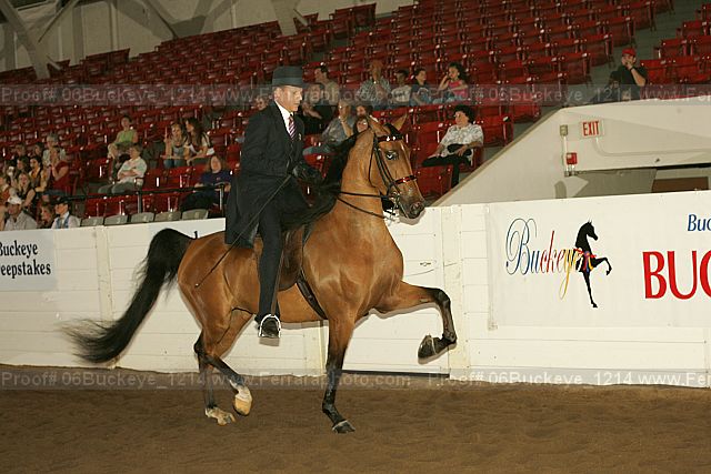 Proof 06buckeye_1214