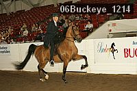 06buckeye_1214 proof