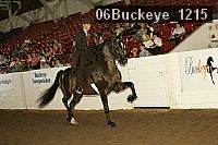 06buckeye_1215 proof