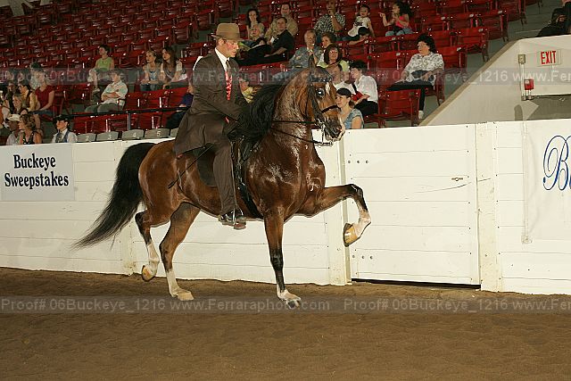 Proof 06buckeye_1216
