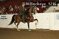 06buckeye_1216 proof
