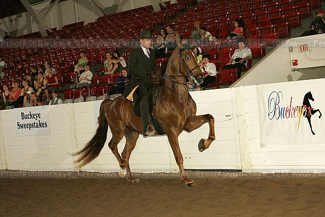 Proof 06buckeye_1217