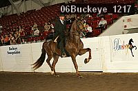 06buckeye_1217 proof