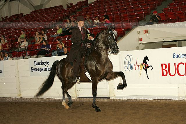Proof 06buckeye_1219