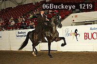 06buckeye_1219 proof