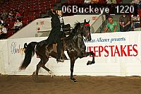 06buckeye_1220 proof