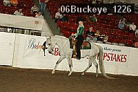 06buckeye_1226 proof