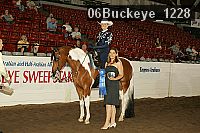 06buckeye_1228 proof