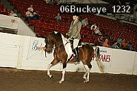 06buckeye_1232 proof