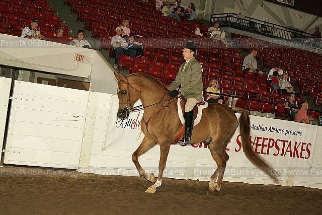 Proof 06buckeye_1233