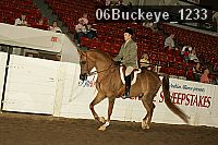 06buckeye_1233 proof