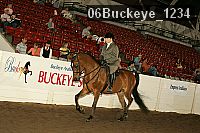 06buckeye_1234 proof